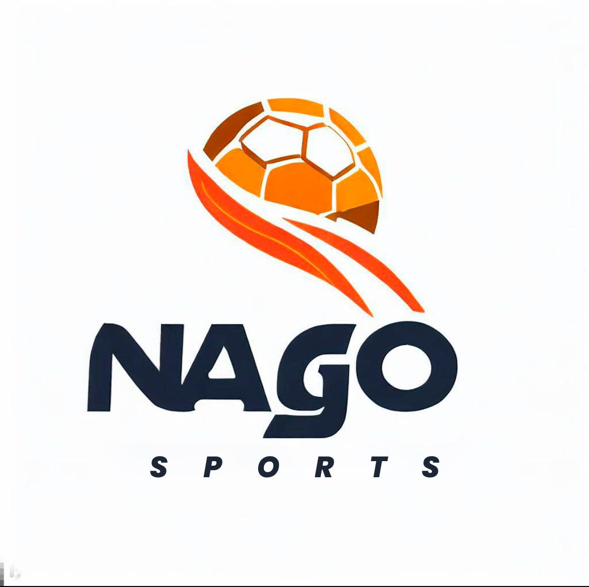 52.106.035 Renato Nunes de Gois